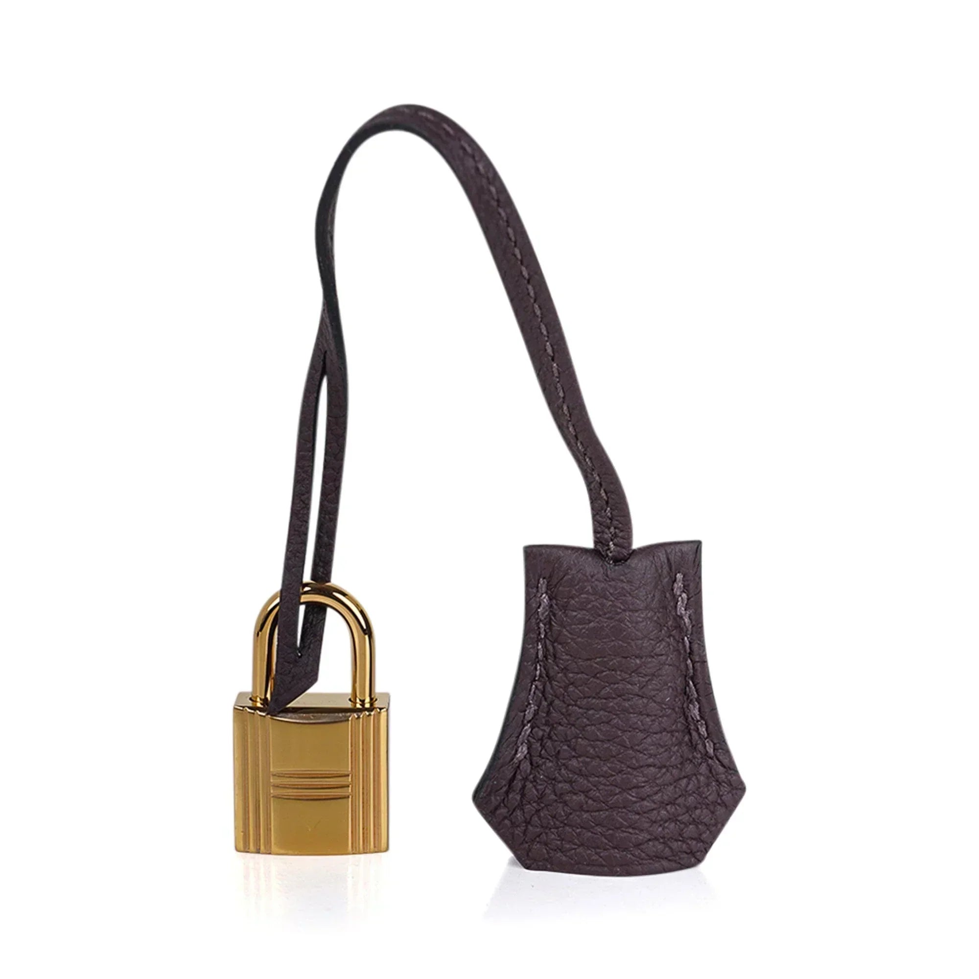 Birkin 25 Bag Chocolat Gold Hardware Togo Leather
