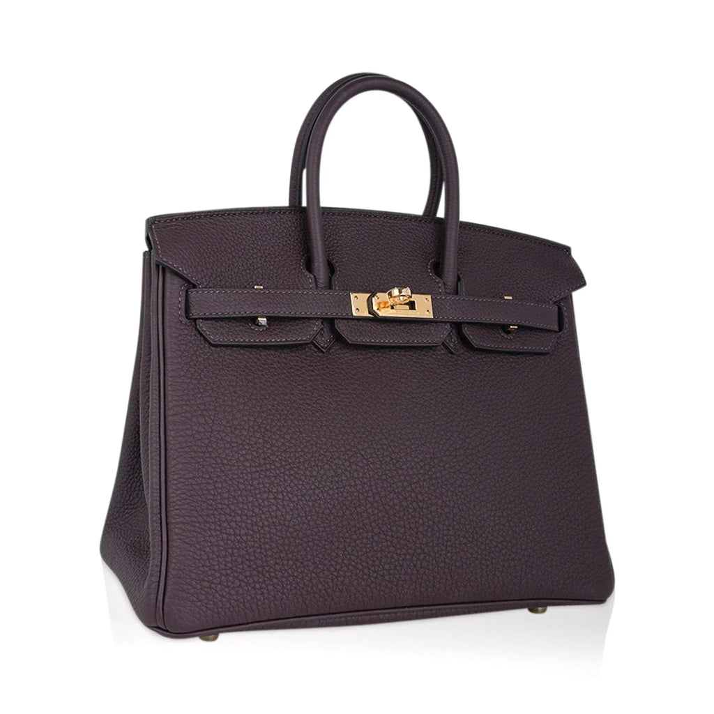 Birkin 25 Bag Chocolat Gold Hardware Togo Leather