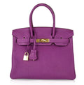 Birkin 30 Bag Anemone Togo Gold Hardware Exotic Purple Beauty