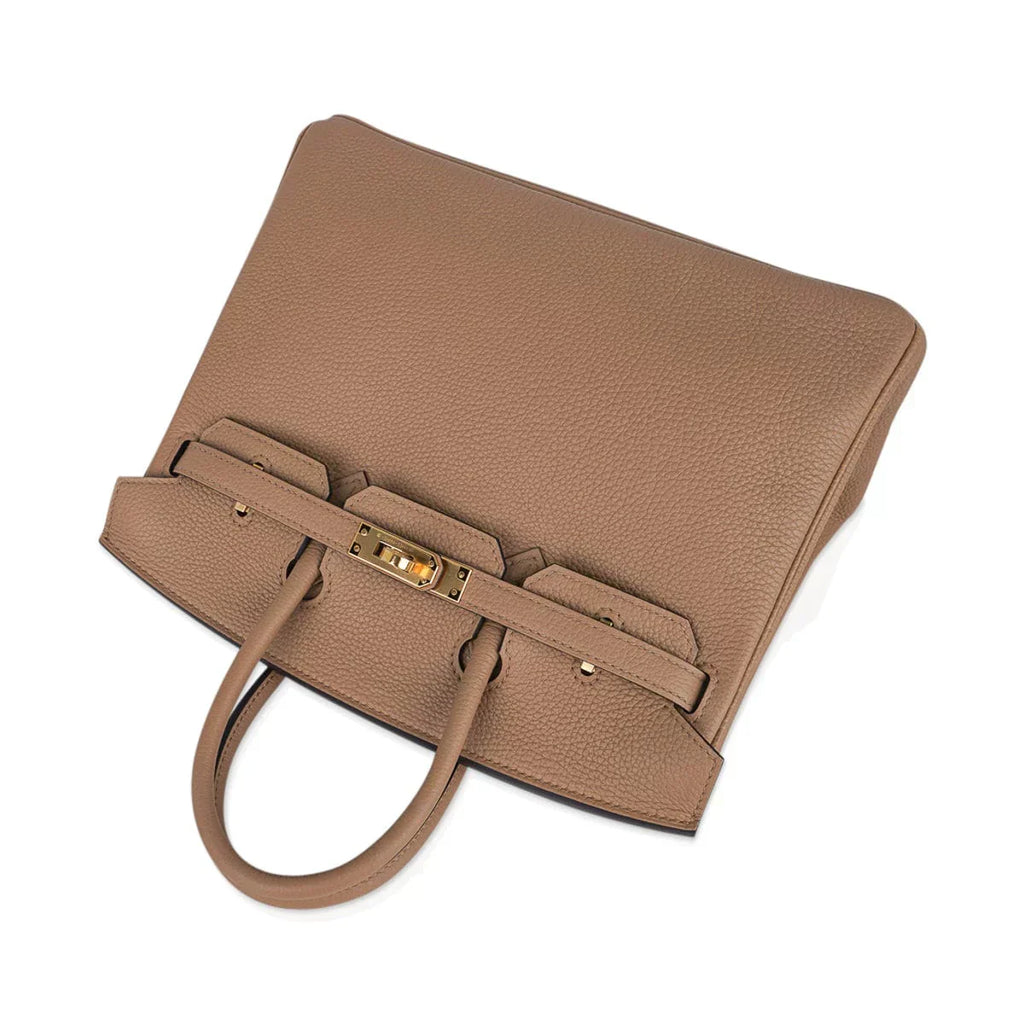 Birkin 25 Bag in Chai Togo Leather with Gold Hardware