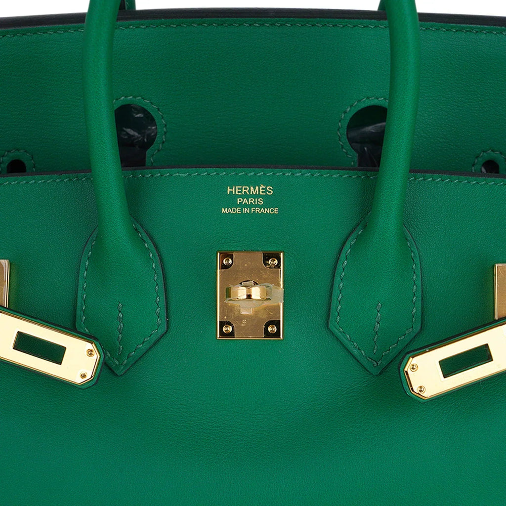 Birkin 25 Bag in Cactus Swift Leather with Gold Hardware